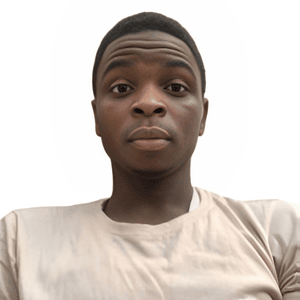 Aminu Auwal Umar, Lala Lajpat Rai College of Pharmacy, India